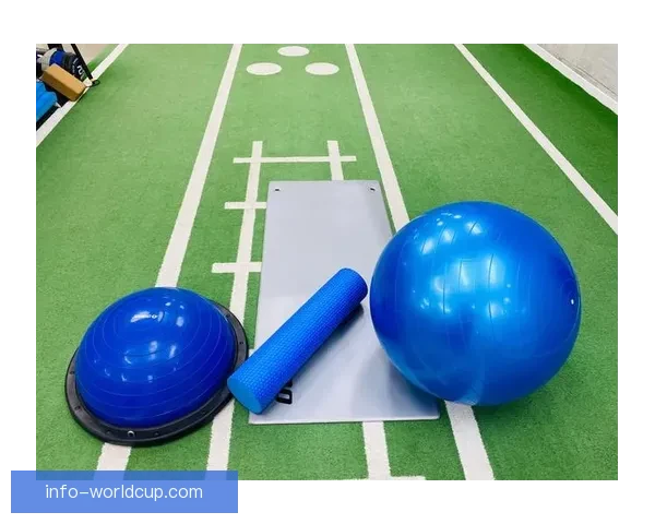 全面解析体育竞猜入口的优势与挑战 引领未来竞猜市场发展新趋势